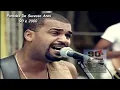 Download Lagu Grupo Raça - Te Amo