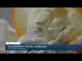 Counterfeit RX pill warning