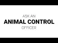 Ask an Animal Control Officer
