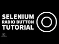 How to Handle Radio Buttons Tutorial Selenium Java