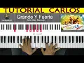 Grande y Fuerte - Miel San Marcos. Tutorial Carlos