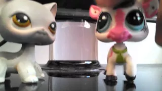 lps liv and maddie