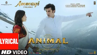 animal ammayi lyrical video ranbir kapoor rashmika m raghav pritam anantha sandeep reddy v