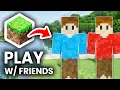 Minecraft Java How To Play With Friends