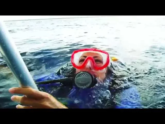 REACTIVATE SCUBA REFRESHER