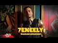حنيلى - حسن شاكوش - Hassan Shakosh - 7eneely