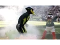 Download Lagu Meet Mandrake, the Oregon Ducks' Mascot That Didn't Fly