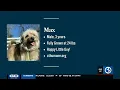 LOST AND POUND Adoptable pets from the CT Humane Society