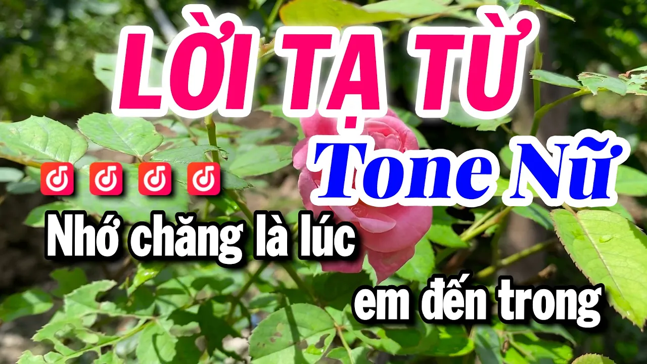 Lời Tạ Từ ❤️ Tiểu Lòng Nữ 