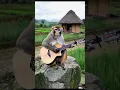 Download Lagu Deretan hewan hebat bisa main gitar #monkey #viralvideo #funny #hewan #gitar #music