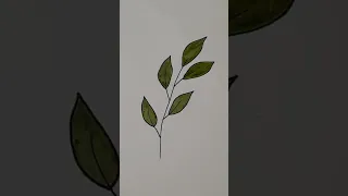 How To Draw Leaves Step By Step رسم اوراق شجر سهلة 