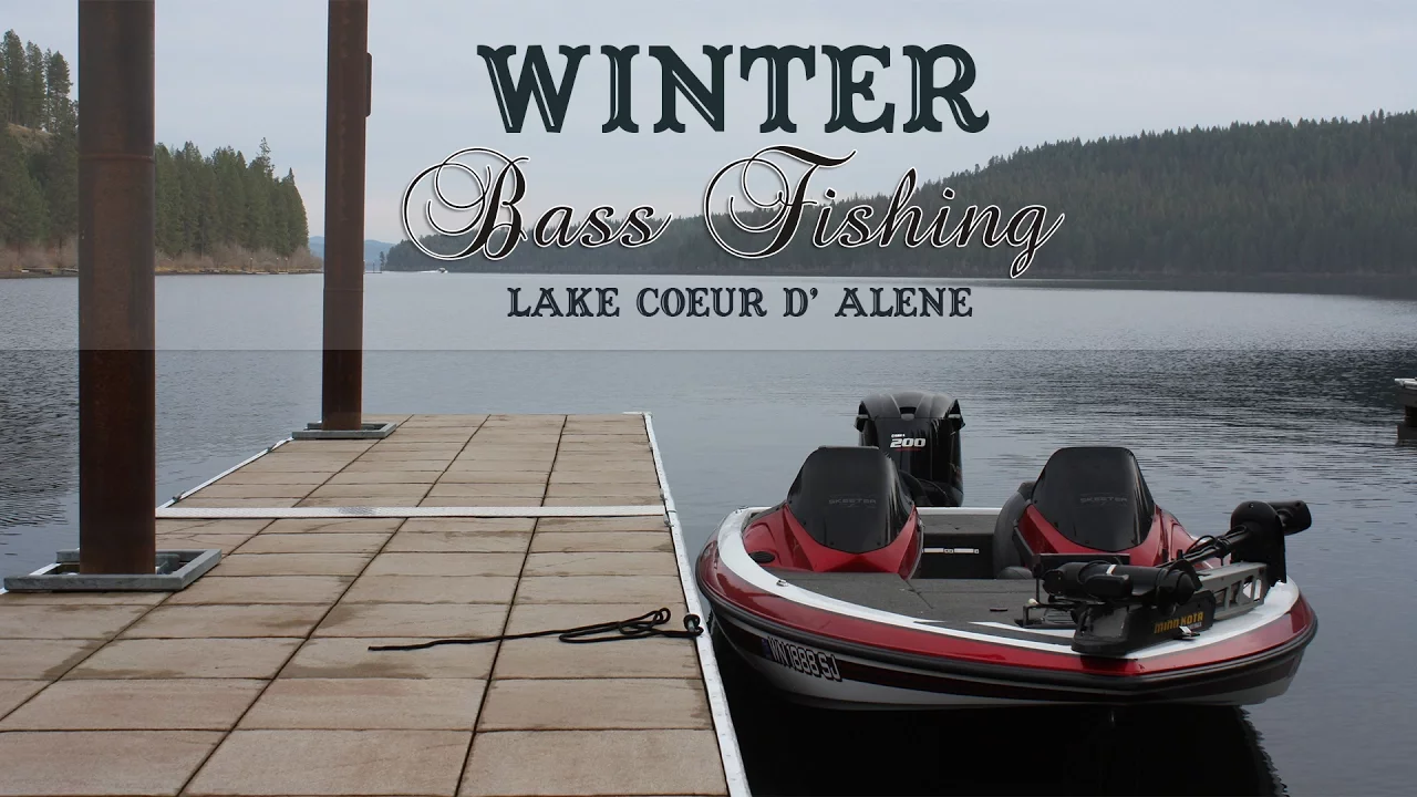 Activist flees Coeur d'Alene after threats from militias