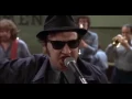 Blues Brothers   Jailhouse Rock 360p