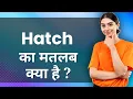 HATCH Ka Matlab Kya Hota Hai Improve Daily Vocabulary