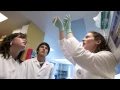 UW Advising Creating Your Wisconsin Experience