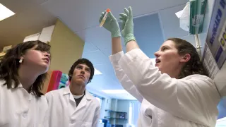 UW Advising Creating Your Wisconsin Experience