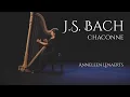 Download Lagu JS Bach: Chaconne from Violin Partita No 2 (Harp) | Anneleen Lenaerts