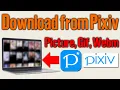 New Method How to download gif picture webm and animation from Pixiv