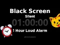 Black Screen 1 Hour Timer Silent 1 Hour Loud Alarm