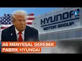 Download Lagu AS Menyesal Gerebek Pabrik Hyundai, 300 Pekerja Korsel Pulang, Proyek Rp 70 Triliun Terhenti
