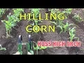HILLING CORN HOSS High Arch Wheel Hoe