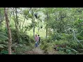 Lagu Mengunjungi candi di tengah hutan yang belum sempat jadi ditemani gadis bule