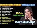 Lagu BUKIT BERBUNGA - CINTA MERAH JAMBU - LEMBAYUNG MUSIC FULL ALBUM TERBARU 2025