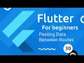 Flutter Tutorial for Beginners - Passing Route Data