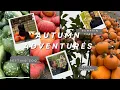 FALL VLOG cozy day in my life pumpkin patch apple picking get ready with me more