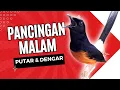 Download Lagu Live Streaming 8 Sepetember 2025