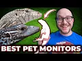 TOP 10 BEST PET MONITOR LIZARDS
