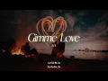 Download Lagu Vietsub | Gimme Love -  Sia | Lyrics Video