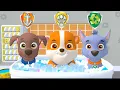 Download Lagu PAW Patrol - A Day in Adventure Bay - Zuma \u0026 Rubble \u0026 Rocky