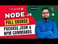 NodeJS Tutorial in Hindi - Package json NPM Commands