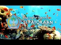 Download Lagu si patokaan-indonesia song