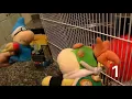 SML Season 12 2020 Deaths