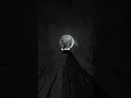 Download Lagu Arcade - Duncan Laurence | lyrics | aesthetic | English songs #lyrics #aesthetic #trending #music