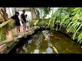 4K Walking Tour Sherman Library Gardens Newport Beach California DJI OSMO IPhone 15 ProMax