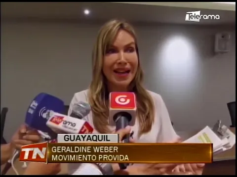 Grupo provida organizan movilización para el próximo 19 de septiembre