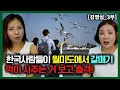 Download Lagu [김영심_3부] 한국사람들이 월미도 에서 갈매기한테 먹이 사주는 거 보고 충격 받은 북한시골여자!