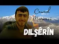 Cewad Merwanî - Dilşêrîn