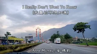 Download I Really Don't Want To Know / 我真的不想知道  (Anne Murray / 安 瑪莉) (4K 5.1聲道) (中文翻譯) MP3