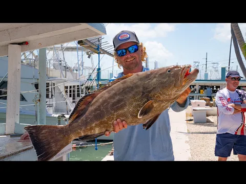 Download MP3 MONSTER 57lb Black Grouper - Opening Day Grouper Season Fishing Report