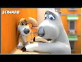 Bernard and his dog | Bernard | 130' Compilation