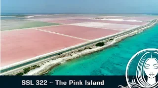 SSL 322 ~ The Pink Island