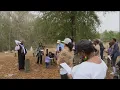 bulloch cemetery tours