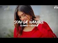 Download Lagu Soni De Nakhre - Slowed \u0026 Reverb | Partner | Govinda , Salman Khan | Soni De Nakhre Lofi Mix