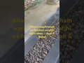 Download Lagu Ya Allah .... lapangkan mereka di dalam kuburnya!