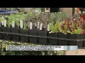 Downtown Growers Market in Albuquerque kicks off 2026 season on Saturday
