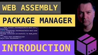introduction to wapm webassembly package manager tutorial using wasmer assemblyscript and as-wasi